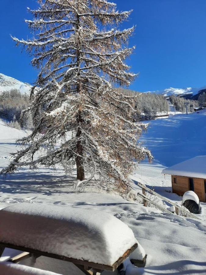 Chaletauxorres Au Pied Des Pistes Et Skis Aux Pieds